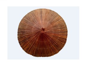 tz-285-EC-121924-112920-01 ΑΝΤΑΛΛΑΚΤΙΚΟ ΚΑΠΕΛΟ ΟΜΠΡΕΛΑΣ CAPRI ΑΠΟ ΞΥΛΙΝΕΣ ΒΕΡΓΕΣ Φ250R