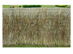 tz-EC-112100-112100-01_ecoshadow.gr9 ΠΑΝΕΛ ΦΟΙΝΙΚΟΦΥΛΛΩΝ FAN PALM 100X300CM