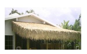tz-EC-112103-finikofill_3249924 ΠΑΝΕΛ ΦΟΙΝΙΚΟΦΥΛΛΩΝ FAN PALM ΠΛΕΚΤΟ 100X300CM
