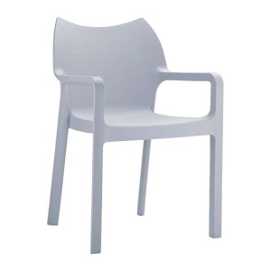 zougris-20.0086 DIVA SILVER GREY ΠΟΛΥΘΡΟΝΑ ΠΟΛ/ΝΙΟΥ